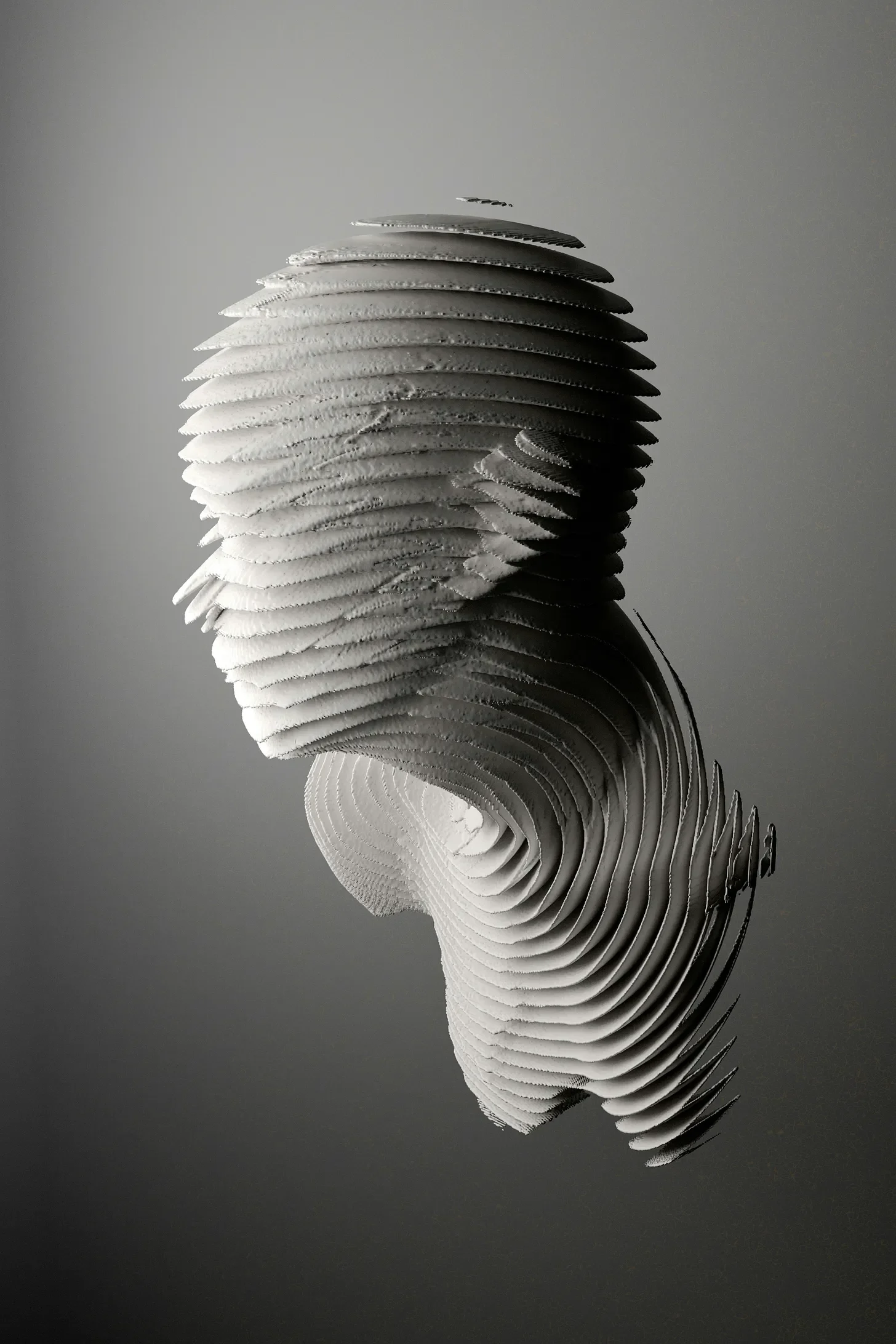 형태의 수수께끼 - Enigma of Form