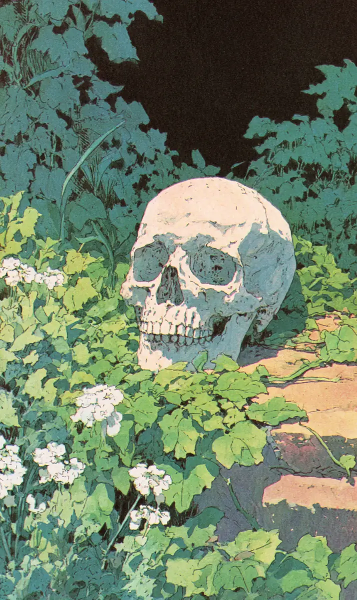 그 꽃만 안 심으면 돼 - Just Don't Plant Those Flowers [고 高]