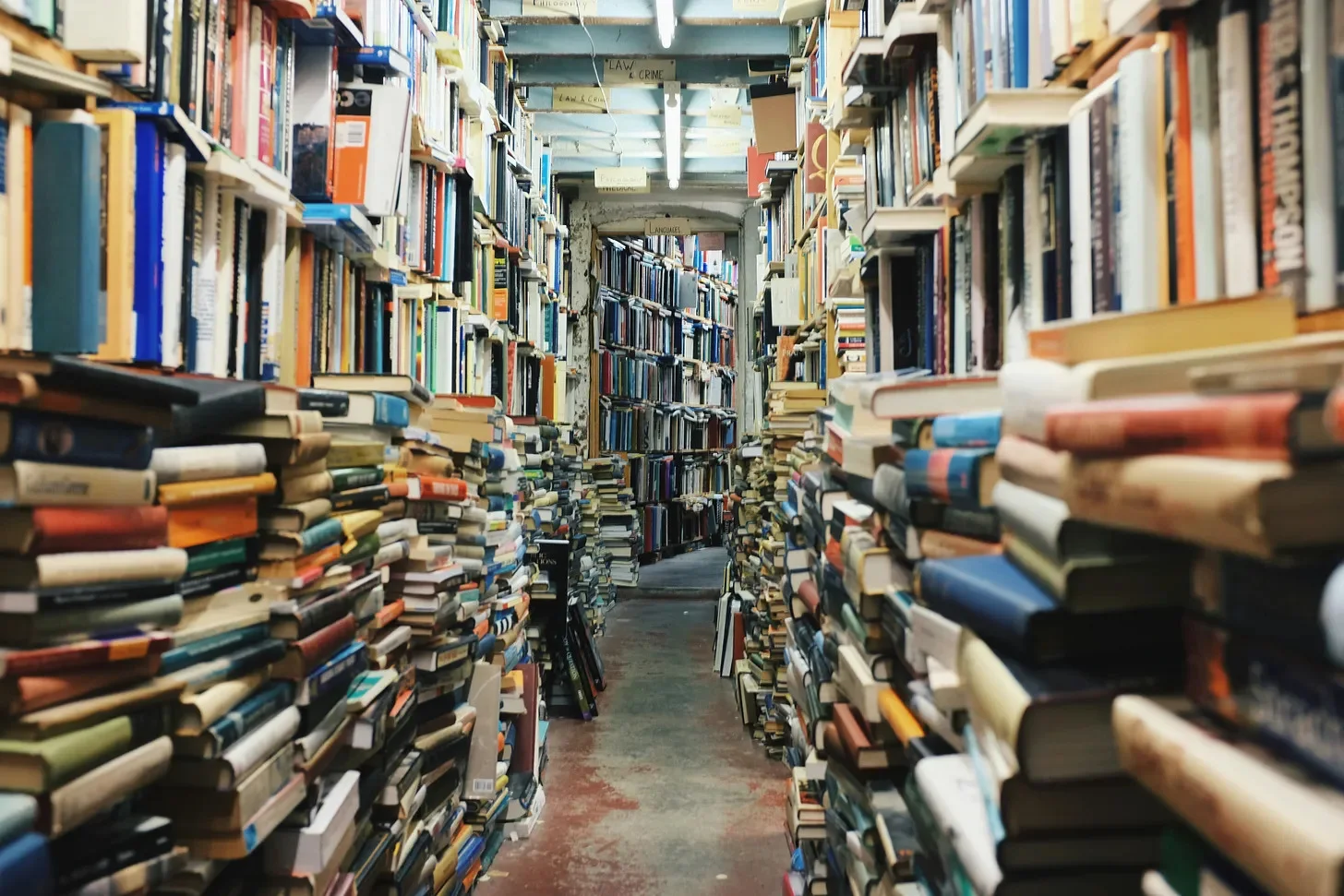 기억 속에 남은 책 한 권 - One Book Left in Memory