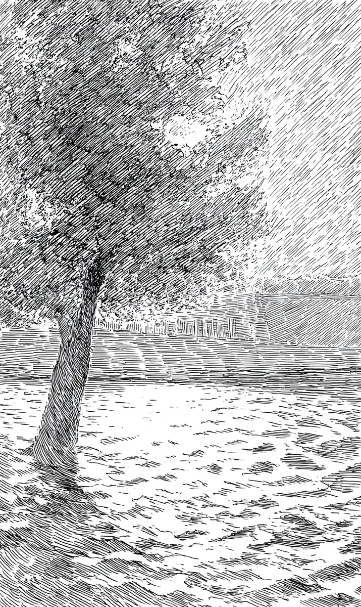 나무의 좋은 각도 - The Tree's Good Side [중 中]