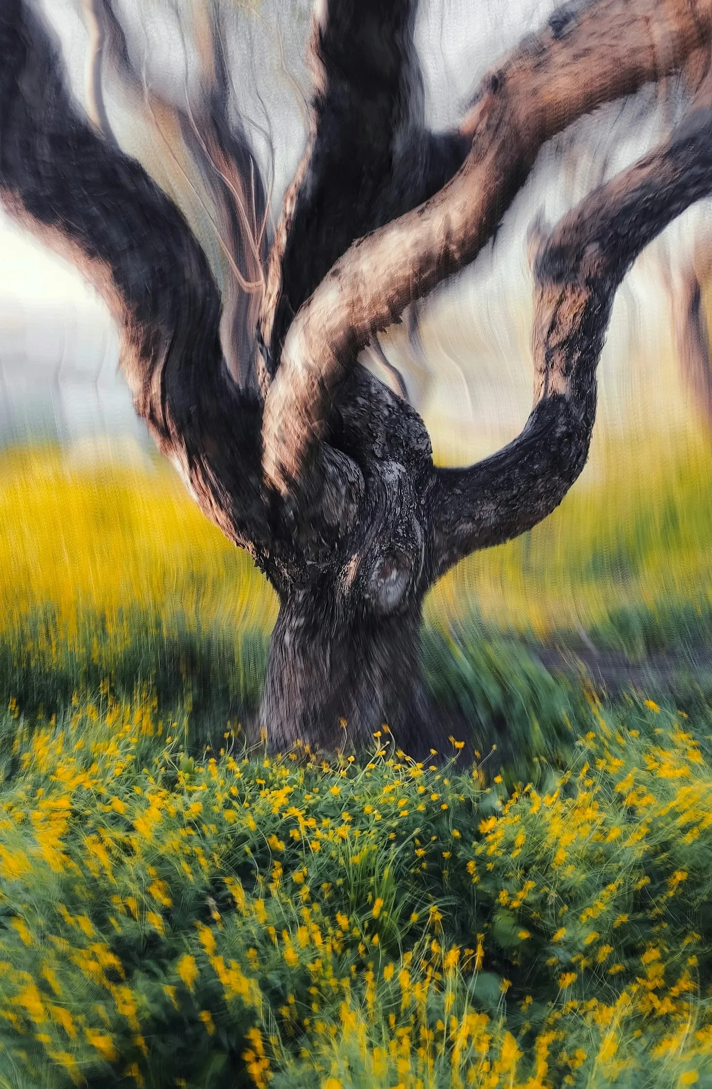 나무의 뿌리가 나를 감쌀 때 – When the Tree’s Roots Enclose Me
